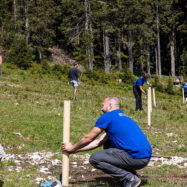 Goodyearovi zaposleni so s prostovoljskimi projekti pomagali lokalnim skupnostim